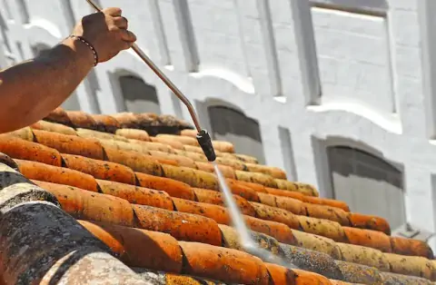 Nettoyage de toitures - Eauze